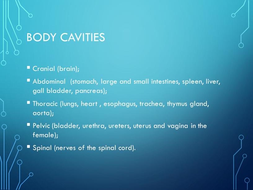 Body cavities Cranial (brain);
