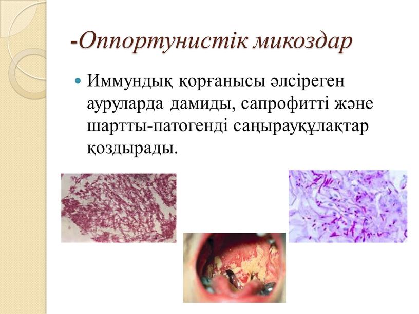 Оппортунистік микоздар Иммундық қорғанысы әлсіреген ауруларда дамиды, сапрофитті және шартты-патогенді саңырауқұлақтар қоздырады