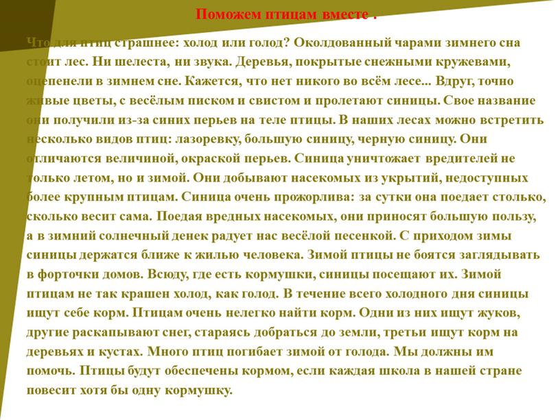 Поможем птицам вместе . Что для птиц страшнее: холод или голод?