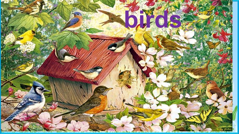 birds Пасечник Е.А. birds