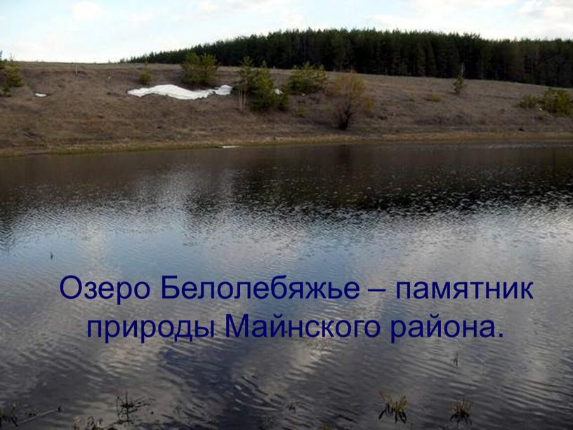 Озеро Белолебяжье – памятник природы