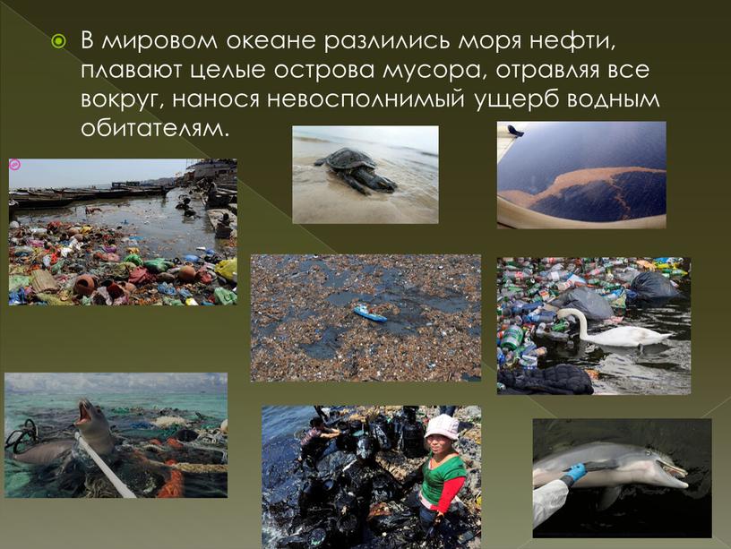 В мировом океане разлились моря нефти, плавают целые острова мусора, отравляя все вокруг, нанося невосполнимый ущерб водным обитателям