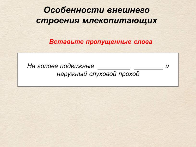 На голове подвижные _________ ________ и наруж­ный слуховой проход