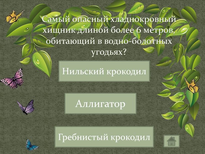 Самый опасный хладнокровный хищник длиной более 6 метров, обитающий в водно-болотных угодьях?