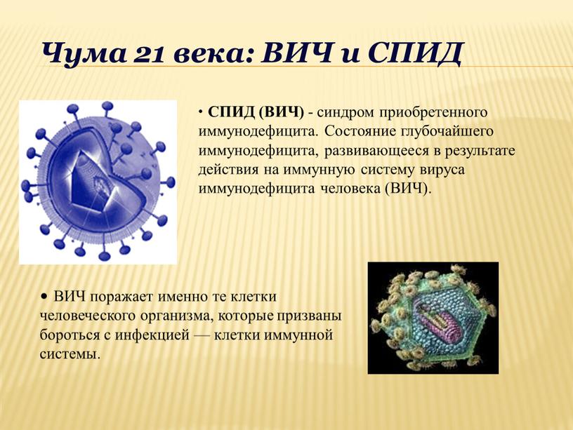 Чума 21 века: ВИЧ и СПИД СПИД (ВИЧ) - синдром приобретенного иммунодефицита