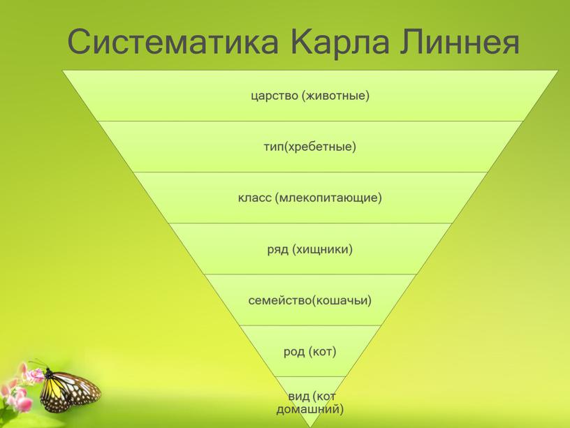 Систематика Карла Линнея