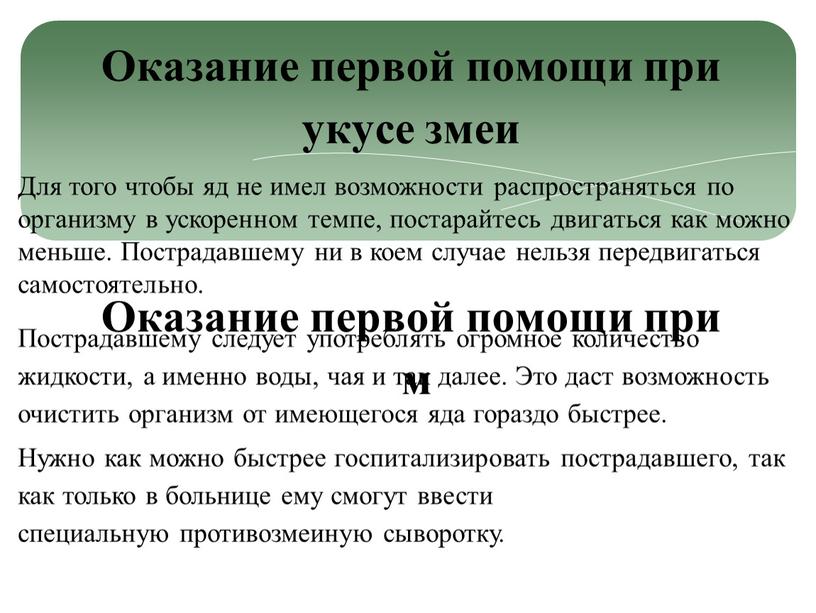 Для того чтобы яд не имел возможности распространяться по организму в ускоренном темпе, постарайтесь двигаться как можно меньше