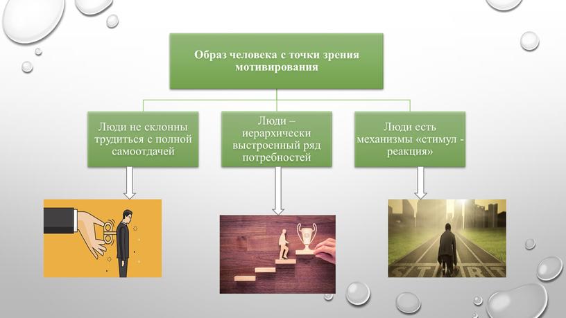 В проектном задании выявляются технические возможности