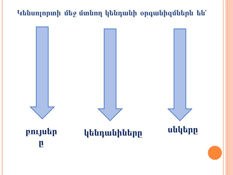 Կենսոլորտի մեջ մտնող կենդանի օրգանիզմներն են՝ բույսերը կենդանիները սնկերը