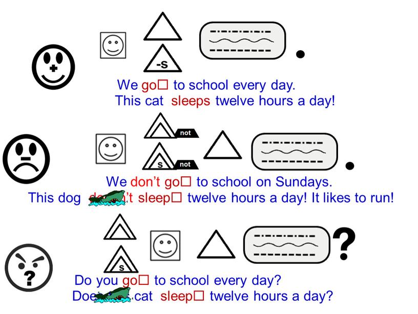 We go to school every day. This cat sleeps twelve hours a day!