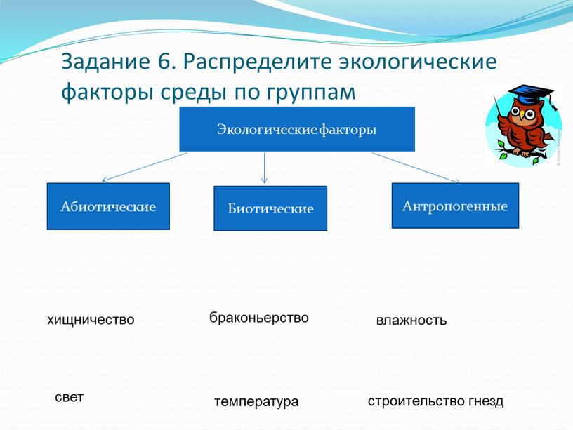 Задание 6. Распределите экологические факторы среды по группам