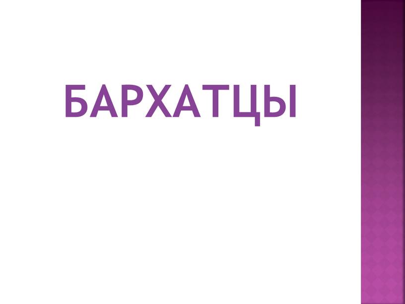 БАРХАТЦЫ