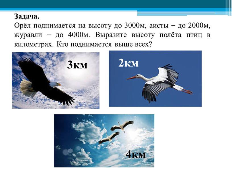 Задача. Орёл поднимается на высоту до 3000м, аисты – до 2000м, журавли – до 4000м