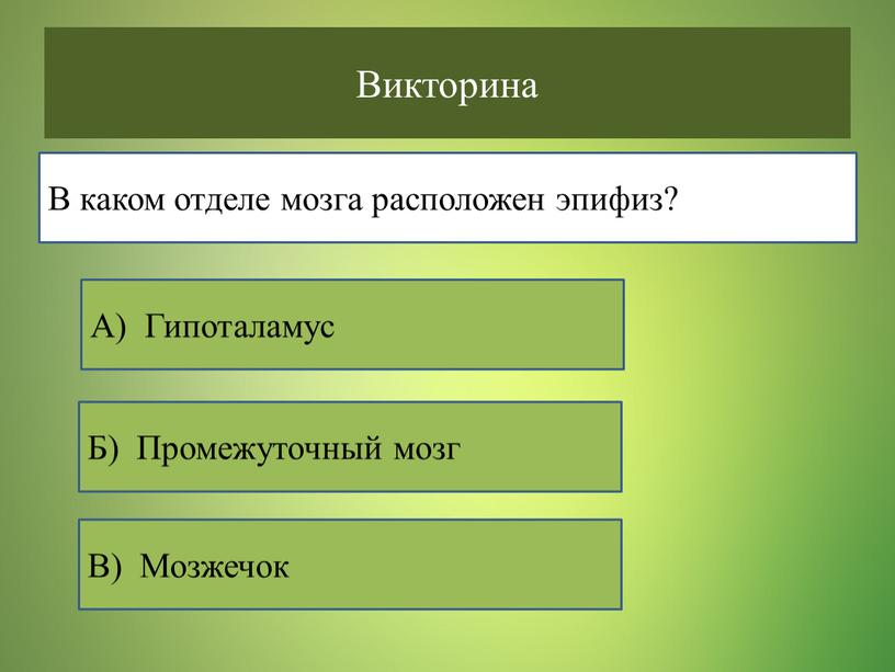 Викторина В каком отделе мозга расположен эпифиз?