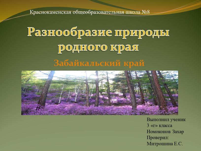 Забайкальский край Краснокаменская общеобразовательная школа №8