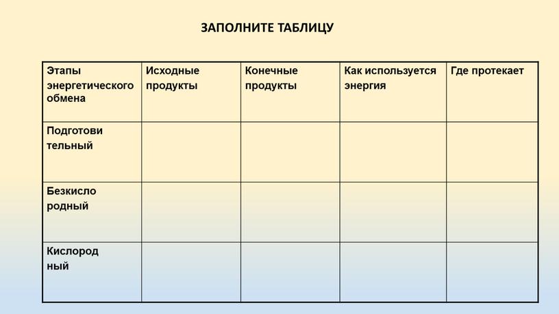 Этапы энергетического обмена Исходные продукты