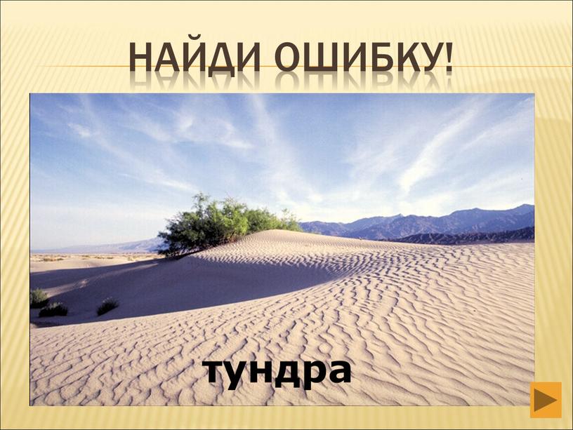 тундра Найди ошибку!