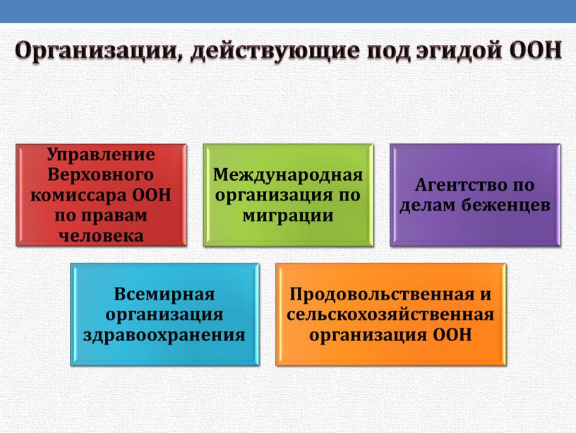 Организации, действующие под эгидой