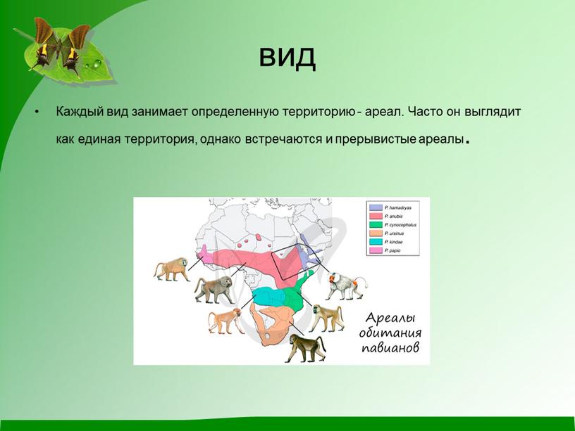 Каждый вид занимает определенную территорию - ареал