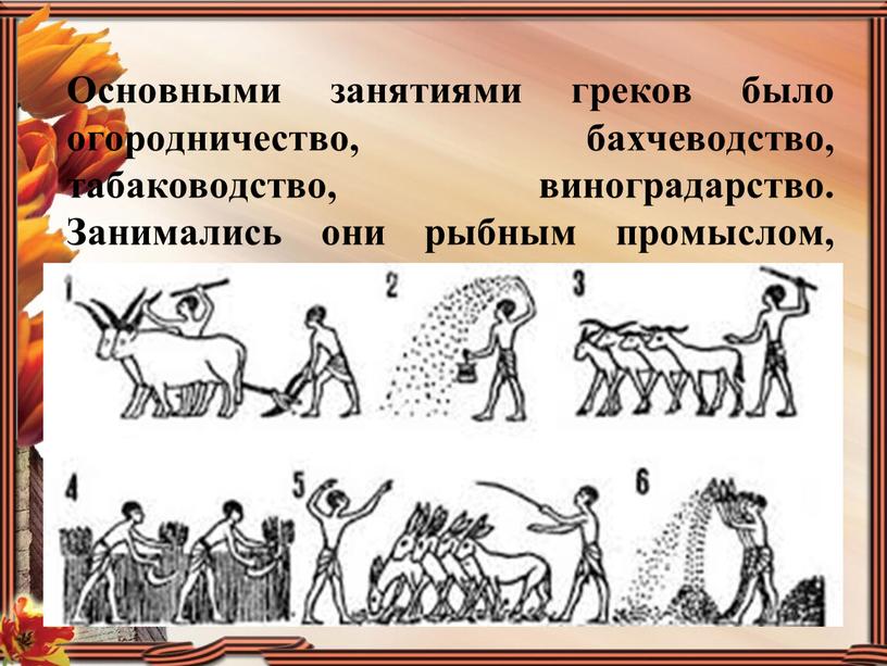 Основными занятиями греков было огородничество, бахчеводство, табаководство, виноградарство