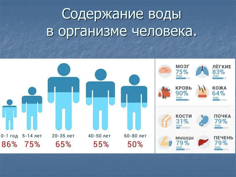 Содержание воды в организме человека