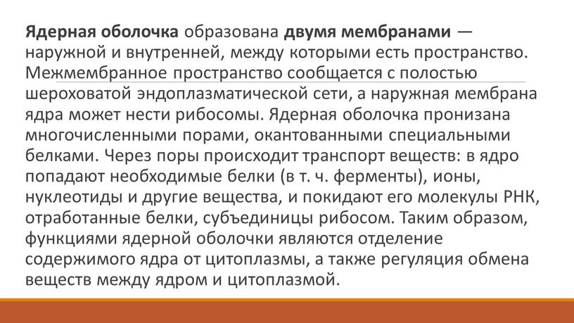 Ядерная оболочка образована двумя мембранами — наружной и внутренней, между которыми есть пространство