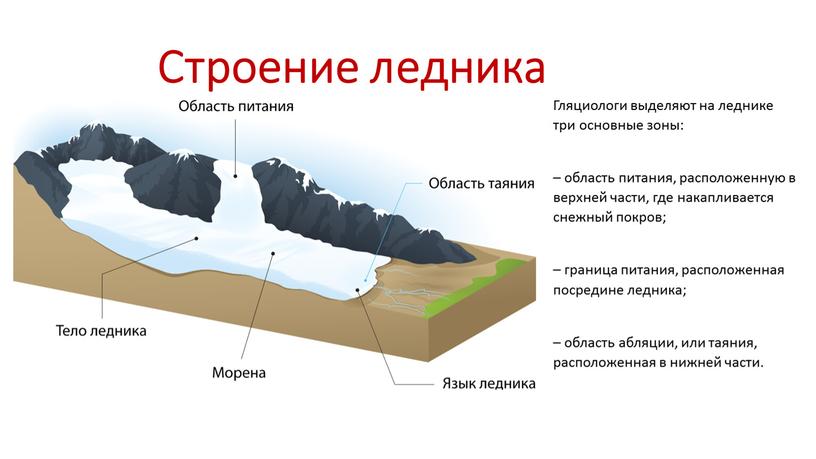 Строение ледника Гляциологи выделяют на леднике три основные зоны: – область питания, расположенную в верхней части, где накапливается снежный покров; – граница питания, расположенная посредине…