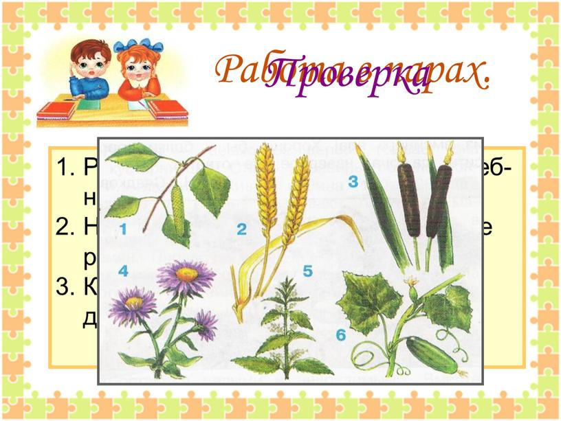 Работа в парах. Рассмотрите рисунки на стр