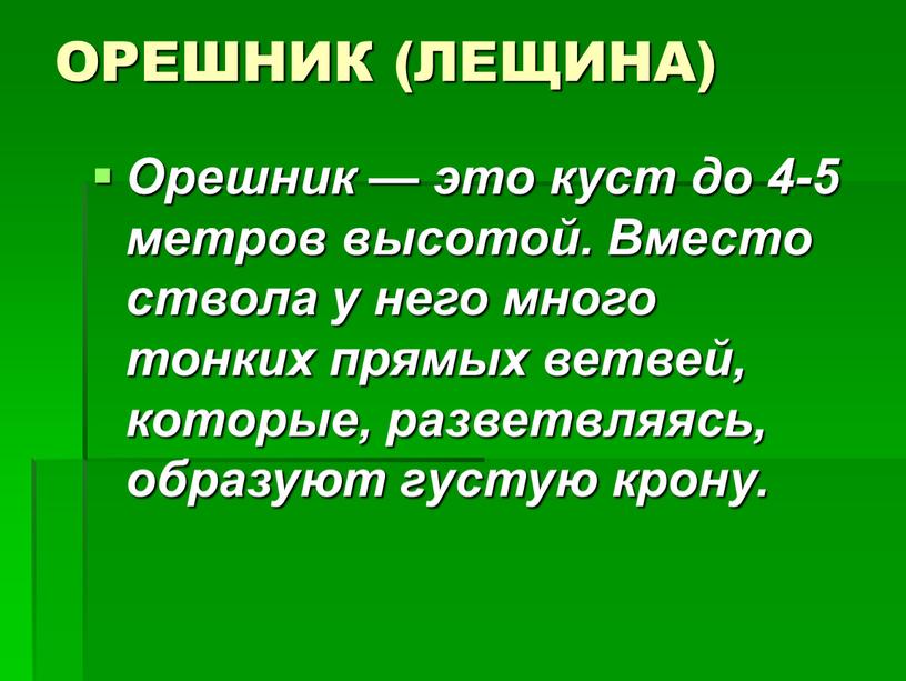 ОРЕШНИК (ЛЕЩИНА) Орешник — это куст до 4-5 метров высотой