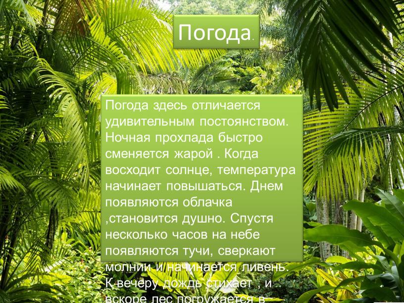 Погода. Погода здесь отличается удивительным постоянством