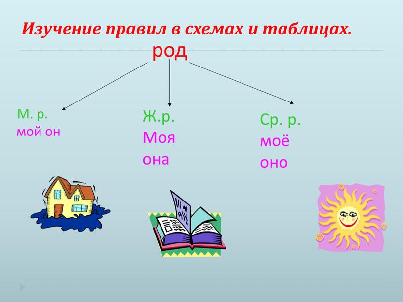 Изучение правил в схемах и таблицах