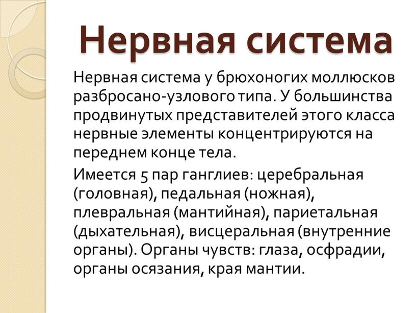 Нервная система Нервная система у брюхоногих моллюсков разбросано-узлового типа