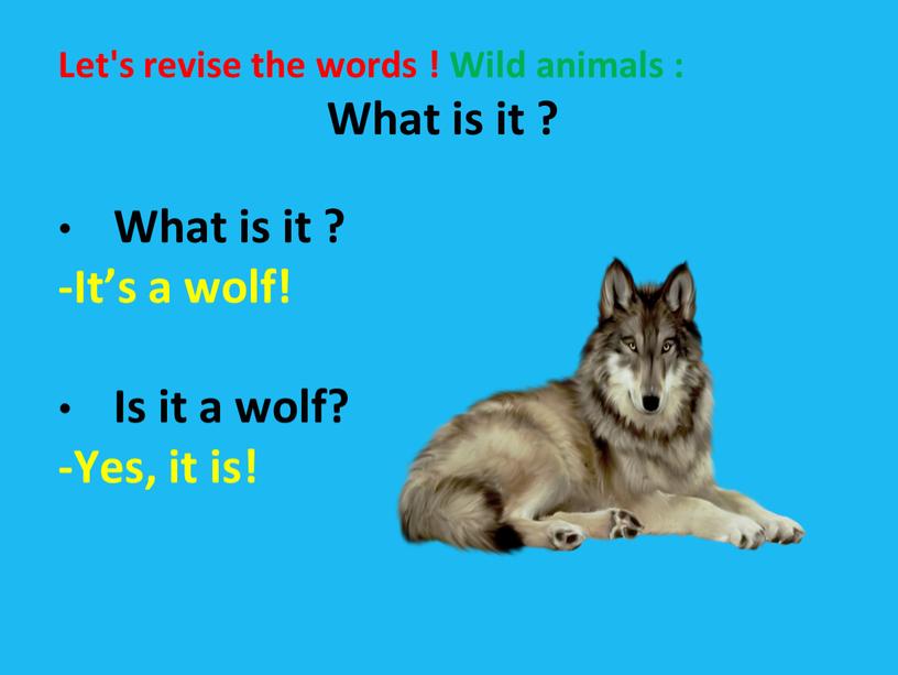 Let's revise the words ! Wild animals :