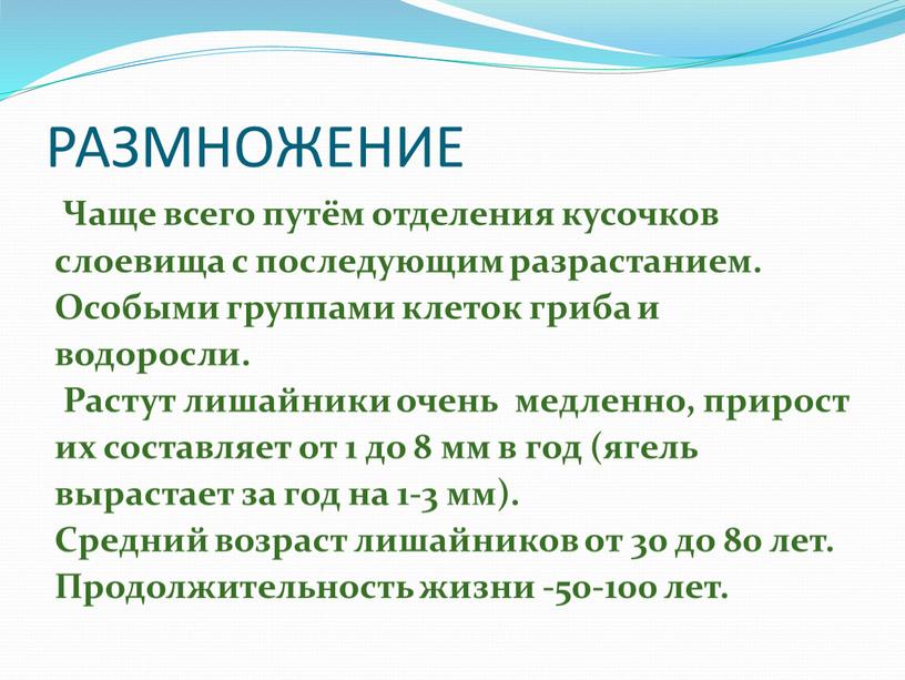 РАЗМНОЖЕНИЕ Чаще всего путём отделения кусочков слоевища с последующим разрастанием