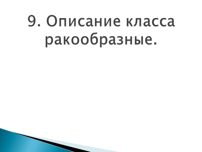 9. Описание класса ракообразные.