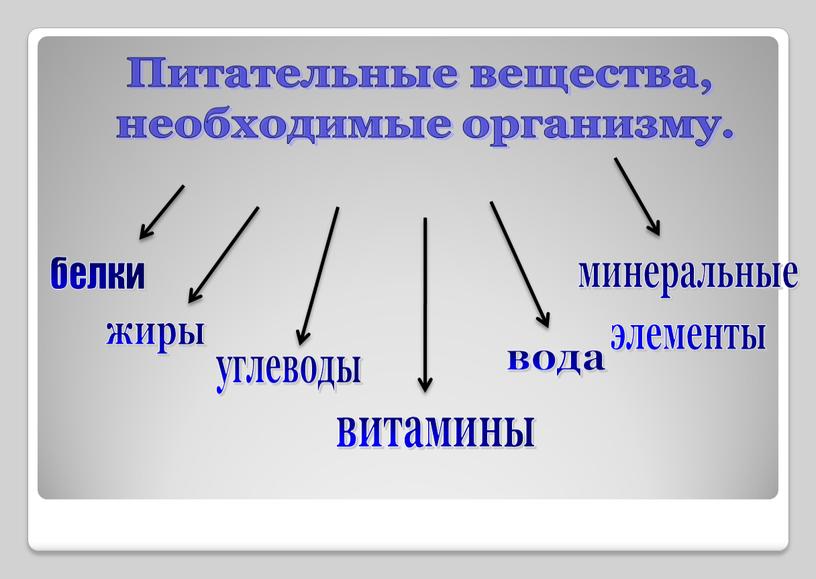 Питательные вещества, необходимые организму