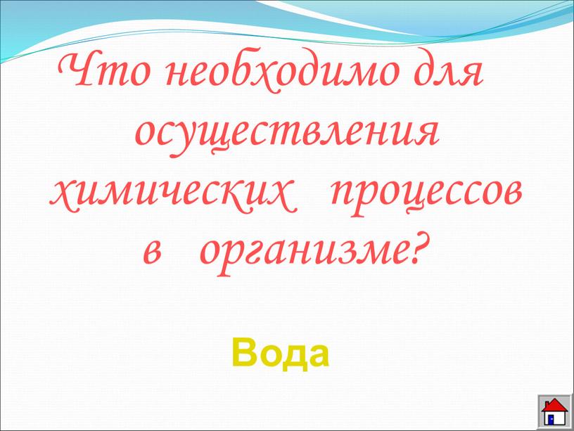 Что необходимо для осуществления химических процессов в организме?