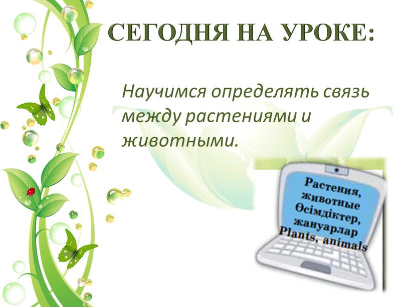 СЕГОДНЯ НА УРОКЕ: Научимся определять связь между растениями и животными