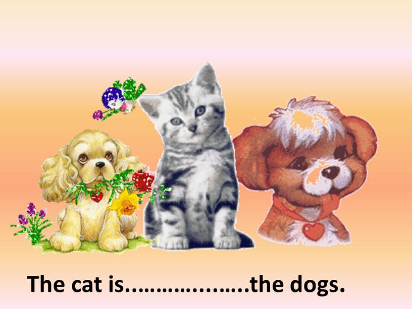 The cat is..………....…..the dogs