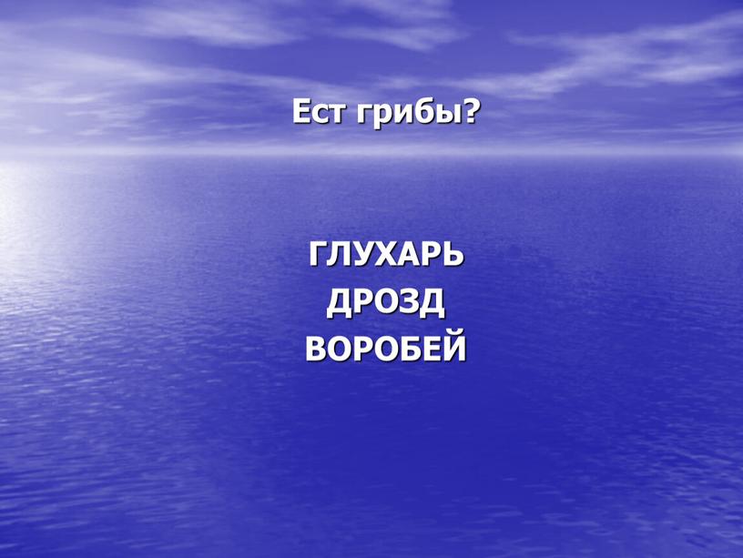 Ест грибы? ГЛУХАРЬ ДРОЗД ВОРОБЕЙ