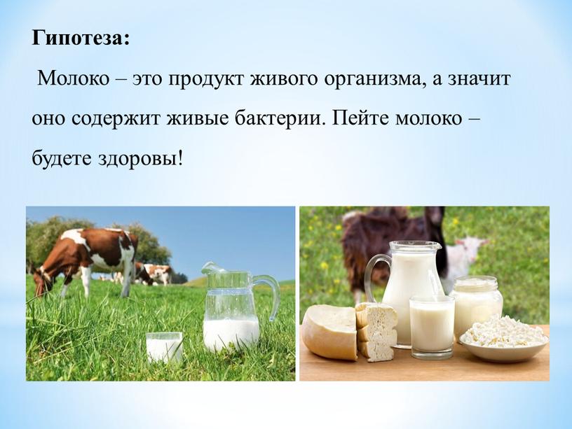 Гипотеза: Молоко – это продукт живого организма, а значит оно содержит живые бактерии
