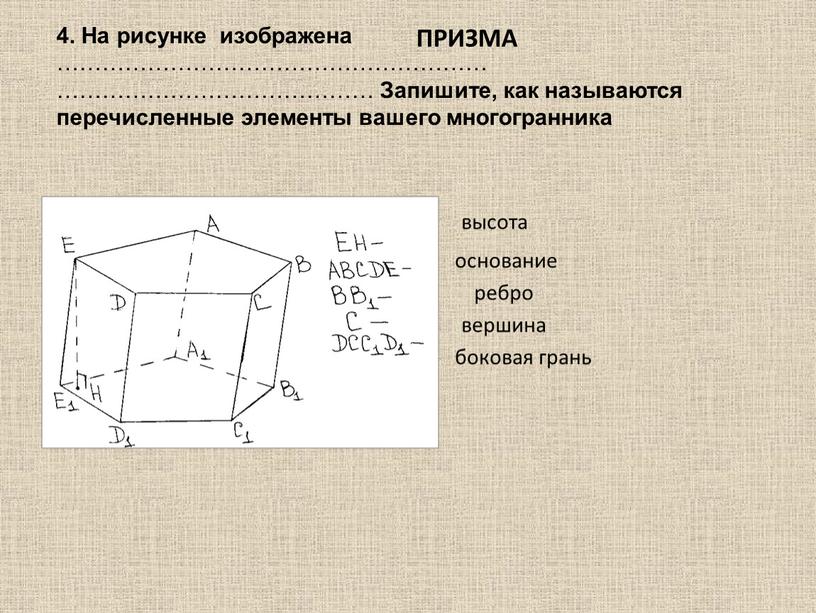 На рисунке изображена ………………………………………………… ……………………………………