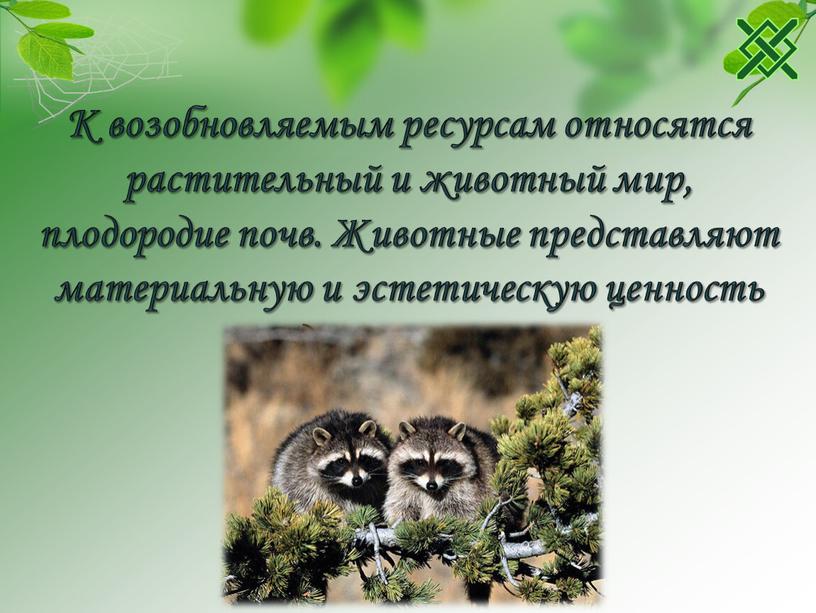 К возобновляемым ресурсам относятся растительный и животный мир, плодородие почв