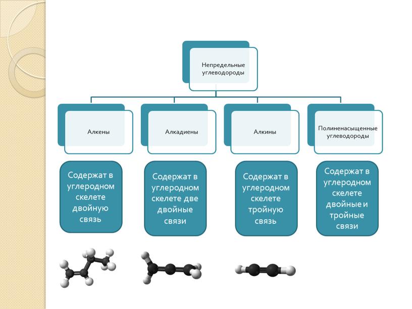 Содержат в углеродном скелете двойную связь