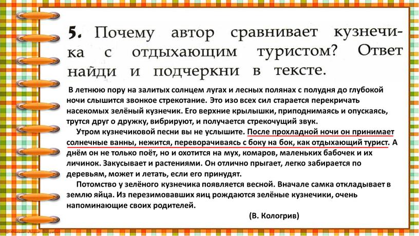 В летнюю пору на залитых солнцем лугах и лесных полянах с полудня до глубокой ночи слышится звонкое стрекотание