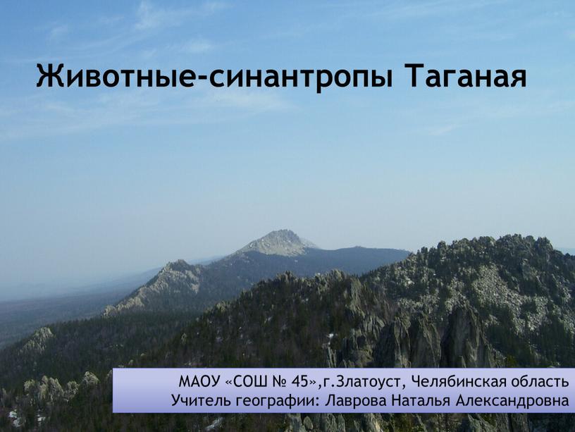 Животные-синантропы Таганая МАОУ «СОШ № 45»,г