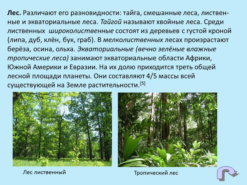 Лес. Различают его разновидности: тайга, смешанные леса, листвен-ные и экваториальные леса