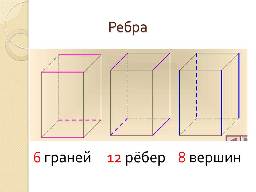 Ребра