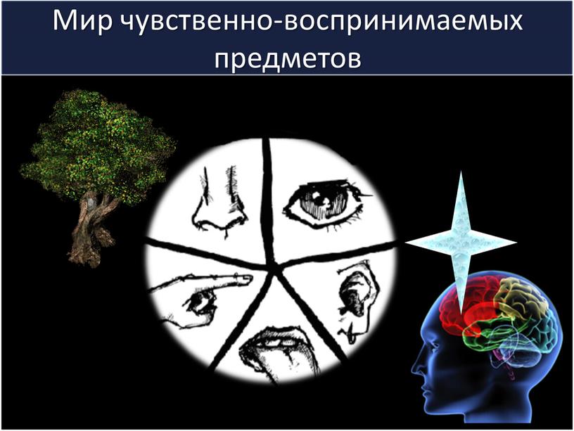 Мир чувственно-воспринимаемых предметов