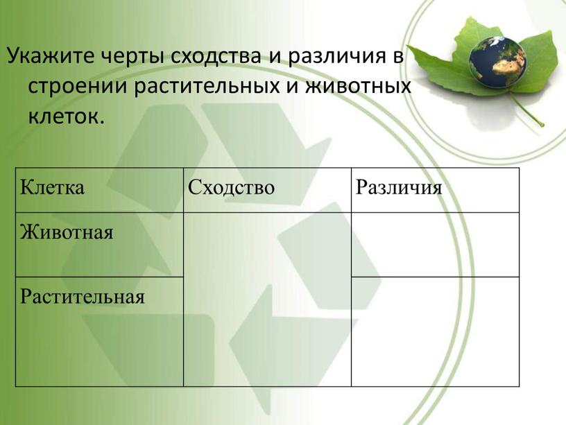 Укажите черты сходства и различия в строении растительных и животных клеток